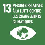 SDG-13